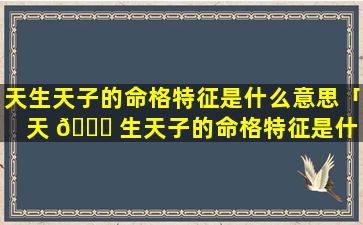 天生天子的命格特征是什么意思「天 🐈 生天子的命格特征是什 🌷 么意思啊」